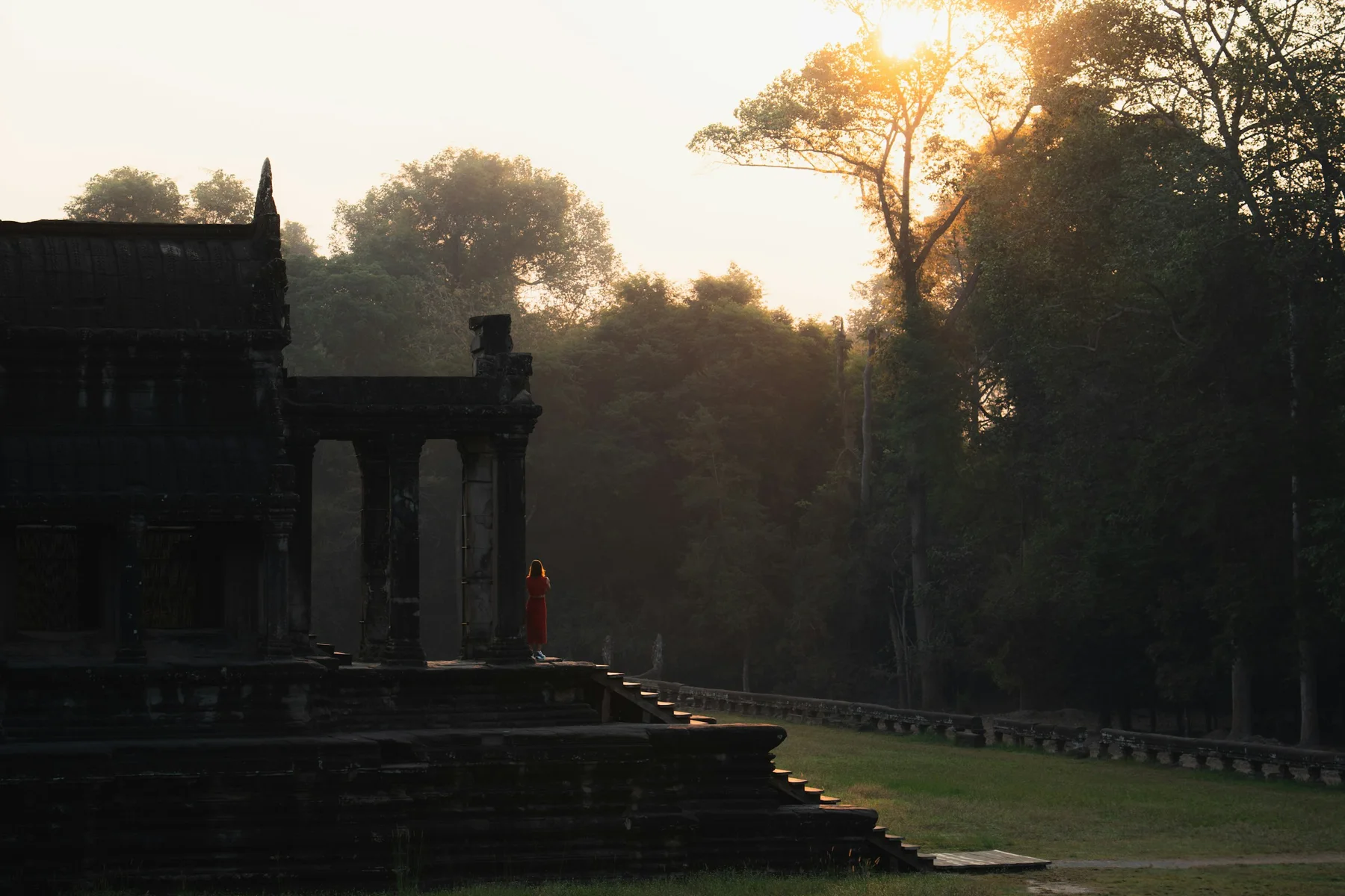 Warm morning light through the trees beside an Angkor temple